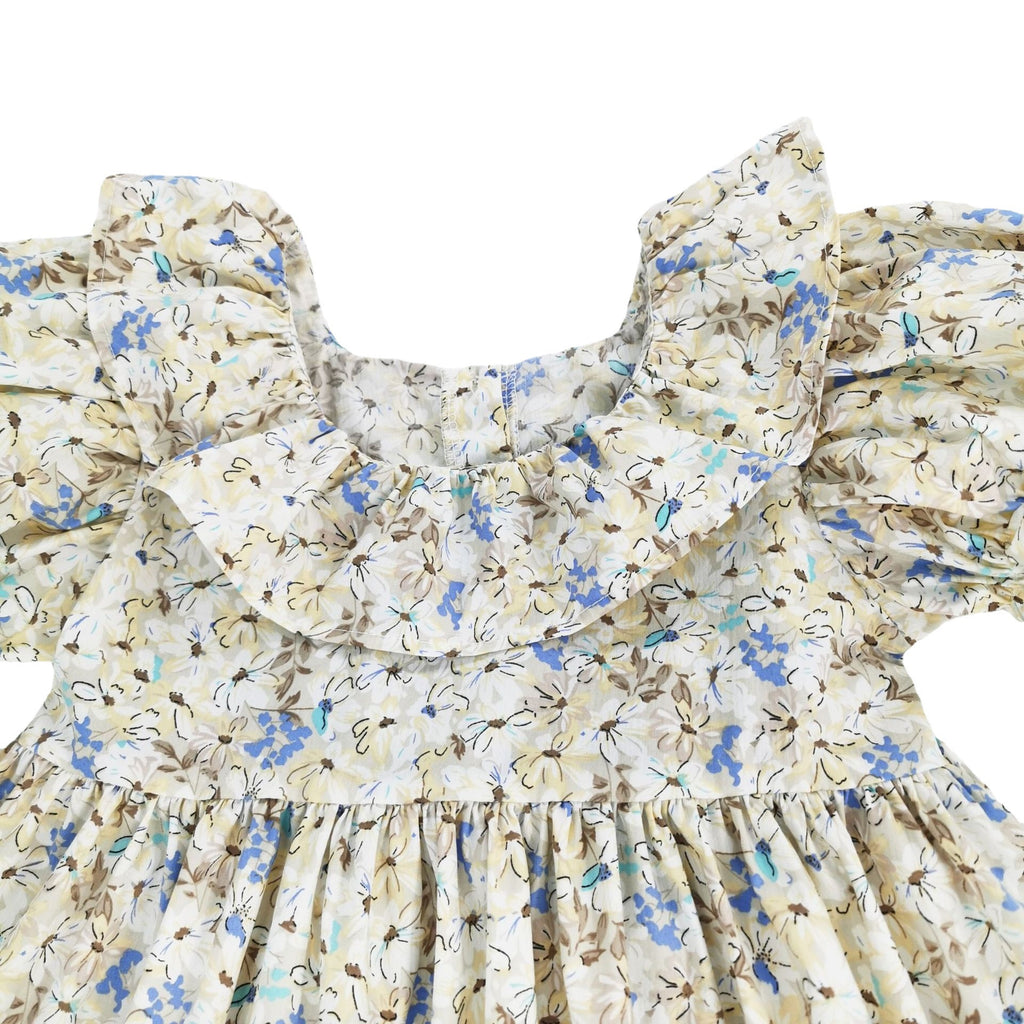 Butterfly knot bubble sleeves sweet floral princess dress